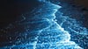 Bioluminescent Beach: எப்புட்றா..! நள்ளிரவில் ஒளிரும்  மாயாஜாலம்.. இந்தியாவின் வசீகரமான கடற்கரைகள்