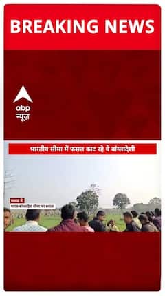 Gas Bombs And Stone-Pelting At India-Bangladesh Border, Two BSF Personnel Injured | ABP Live