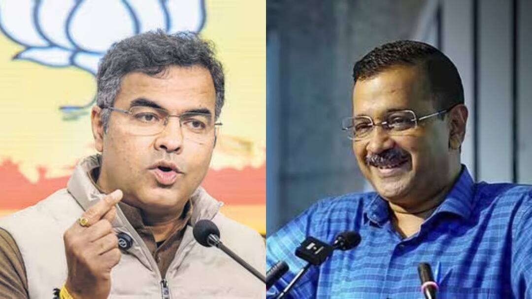 Delhi Assembly Elections 2025 BJP AAP playing Soft Hindutva Card in Polls become well wishers of Priests सॉफ्ट हिंदुत्व के कार्ड से दिल्ली चुनाव में किसे मिलेगा फायदा? AAP से लेकर बीजेपी तक ने चल दिया बड़ा दांव