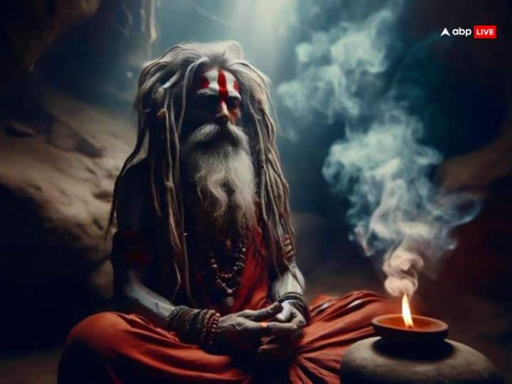 अघोरी बनने के लिए एक उपयुक्त गुरु की तलाश करना है। गुरु ने बताई हर बात का पालन। इस दौरान गुरु द्वारा बीज मंत्र दिया जाता है। यह विरासत में मिला हुआ दिग्दर्शन कहा जाता है।