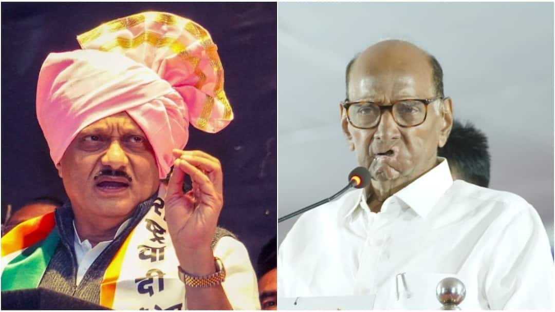 महाराष्ट्र: अजित दादा के कार्यक्रम में शामिल हुए 'साहेब' के विधायक, शरद पवार के लिए बढ़ी टेंशन? sharad pawar faction leader satish chavan to rejoin ajit pawar let NCP महाराष्ट्र: अजित दादा के कार्यक्रम में शामिल हुए 'साहेब' के विधायक, शरद पवार के लिए बढ़ी टेंशन?