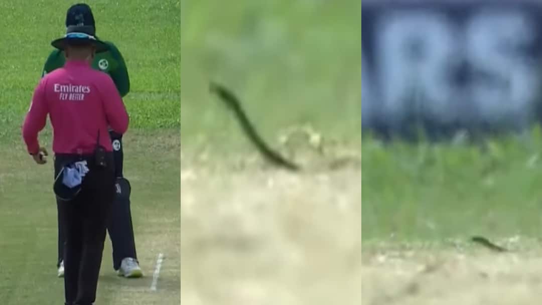 Snake in Ground during live match between England vs Ireland ICC Under 19 Womens T20 World Cup 2025 Watch video Watch: लाइव मैच के बीच स्टेडियम में घुसा 'सांप', मचा हड़कंप; वीडियो वायरल 