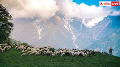 गुलमर्ग से पक गए? कश्मीर की ये हसीन वादियां हैं पैसा वसूल डेस्टिनेशन