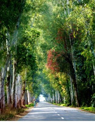 ਪੰਜਾਬ 'ਚ Interstate Routes ਸੀਲ ? ਜਾਣੋ ਅਲਰਟ 'ਤੇ ਕਿਉਂ ਪੰਜਾਬ ਪੁਲਿਸ...