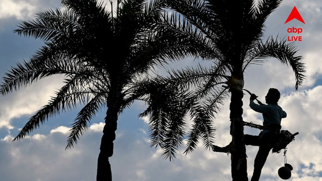 Winter Forecast Weather Update South Bengal North Bengal Situation Weather Update: নামল পারদ, বঙ্গে বাড়ল শীতের আমেজ; জেলায় জেলায় কুয়াশার সতর্কতা