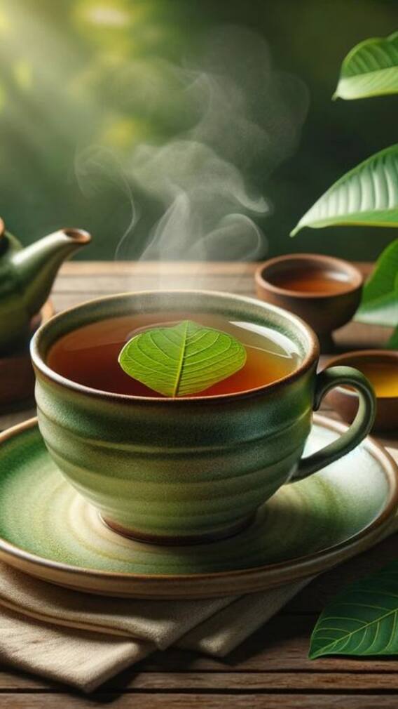 கொய்யா இலை டீ குடிச்சு இருக்கீங்களா..? அவ்ளோ நன்மைகள்