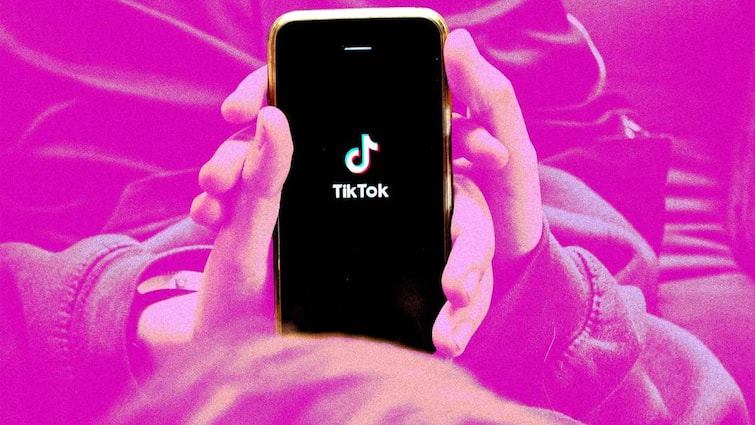 TikTok banned in this country The app will no longer be used know the reason