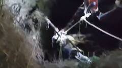 नील गायींचा कळप धावत आला, बैलजोडी घाबरून उधळली अन् थेट विहीरीत कोसळली; दोन बैलांचा अंत