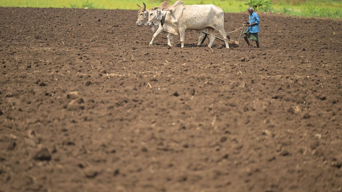 Agri Budget: బడ్జెట్‌లో వ్యవసాయ రంగానికి కేటాయింపులు పెంచాలన్న నిపుణులు- స్టార్టప్‌లు, బయో ఫెర్టిలైజర్స్‌కు రాయితీలపై ఆశలు