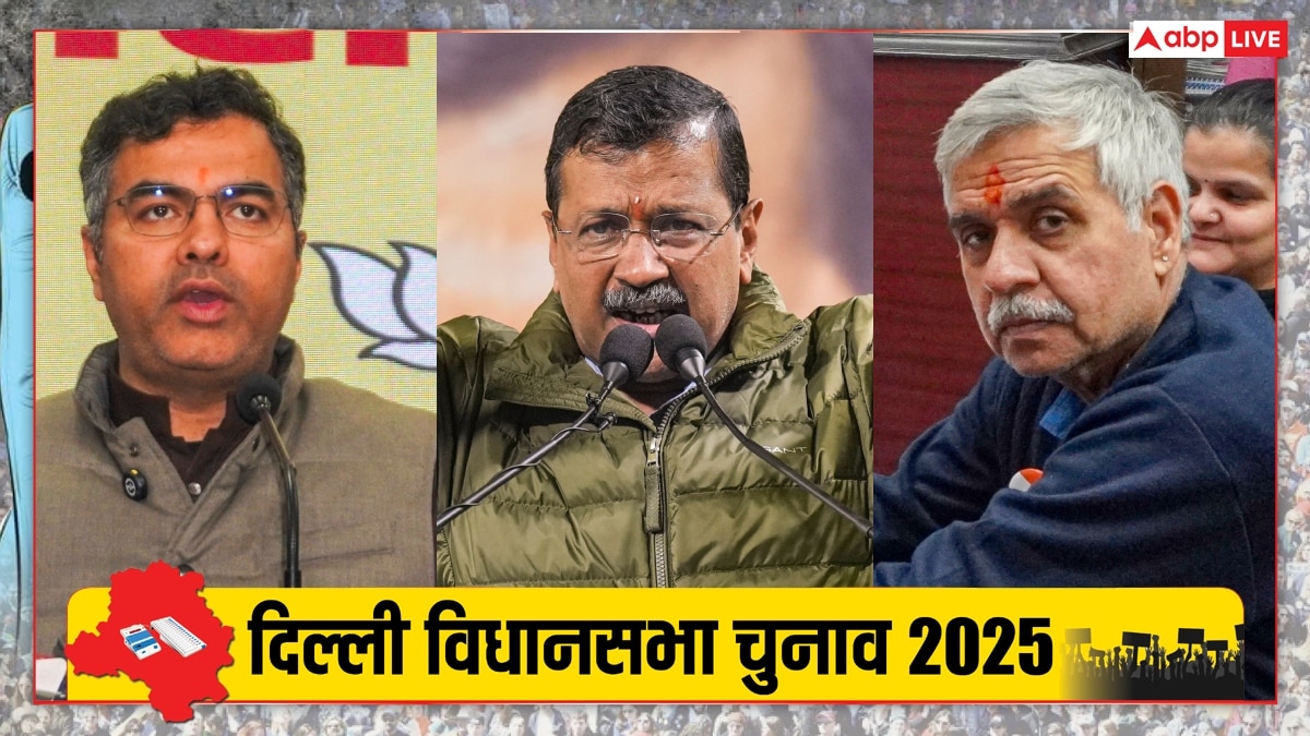 दिल्ली की 70 सीटों पर कुल 699 उम्मीदवार, किस सीट पर सबसे ज्यादा और कहां सबसे कम कैंडिडेट?