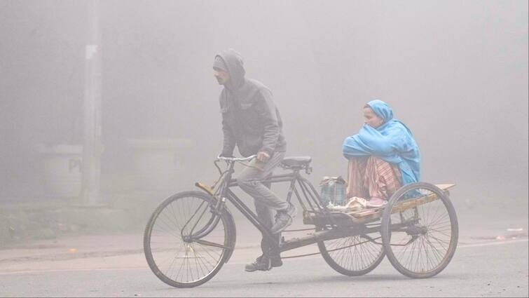 Bihar Weather Update Today 20 January 2024 IMD Forecast Dense Fog cold wave Patna ka mausam Bihar Weather: बिहार में कब तक सताएगी सर्दी? ठंड और कोहरे को लेकर आया बड़ा अपडेट, जानें- मौसम का पूरा हाल