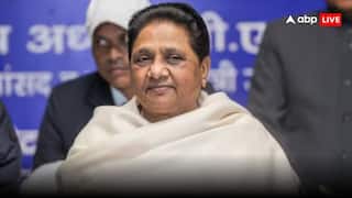 दिल्ली में मुसलमानों के दबदबे वाली सीटों पर BSP ने क्‍यों उतारे हैं हिंदू कैंडिडेट, जानें इसके पीछे की इनसाइड स्टोरी