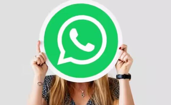 કંપનીઓ WhatsApp Business API નો ઉપયોગ કરે છે જેના માટે તેઓ WhatsApp ને પેમેન્ટની ચૂકવણી કરવી પડે છે. ઉદાહરણ તરીકે, કંપનીઓ ટિકિટ બુકિંગ, શોપિંગ અપડેટ્સ અને ગ્રાહક સપોર્ટ જેવી સેવાઓ માટે WhatsAppનો ઉપયોગ કરે છે.