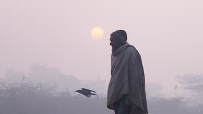 Delhi experiences warmer January temperatures due to a strong western disturbance India Meteorological Department IMD Why Is Delhi Seeing Warm January? IMD Expert Explains Reason Behind Sudden Jump In Temperature This Winter