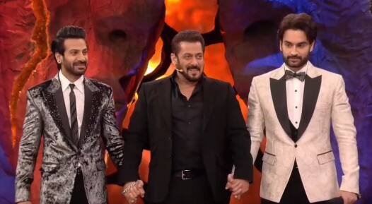 Bigg Boss Season 18 : छोट्या पडद्यावरील सलमान खानच्या प्रसिद्ध शोचा ग्रँड फिनाले नुकताच पार पडला. बिग बॉस 18 चा ग्रँड फिनाले 19 जानेवारीला धूमधडाक्यात पार पडला.