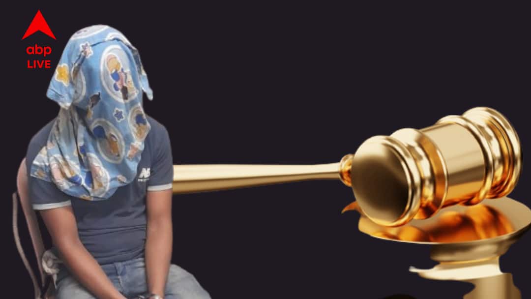 RG Kar Sanjay Ray Says He Did not commit the crime Before Court RG Kar Case : সাজা ঘোষণার আগে বিচারকের কাছে ফের বড় দাবি সঞ্জয়ের