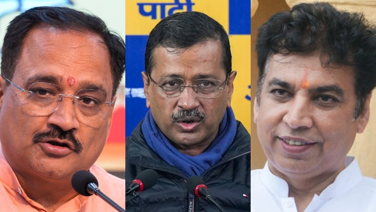 Delhi Election 2025: दिल्ली की इन सीटों पर ढूंढे नहीं मिलेंगे दागी उम्मीदवार, जानें उनके नाम