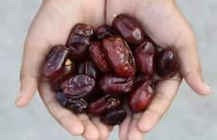Dates Benefits: શિયાળામાં દરરોજ કરવું જોઈએ ખજૂરનું સેવન,ચમત્કારીક લાભ જાણી તમે પણ ચોંકી જશો