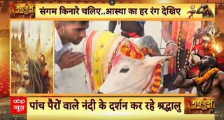 Mahakumbh 2025: Five-Legged Nandi Maharaj Becomes the Center of Attraction at Mahakumbh | ABP NEWS