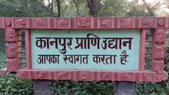 कानपुर चिड़ियाघर में जानवारों के बाड़े में फेंका मांस, दो आरोपी गिरफ्तार