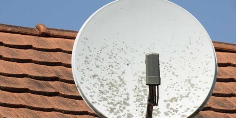 It is very important to set the dish antenna in the right direction. It is tilted towards the satellite that provides service in your area. If the dish is in the wrong direction, signal will not be received and the message “No Signal” will appear on the screen.