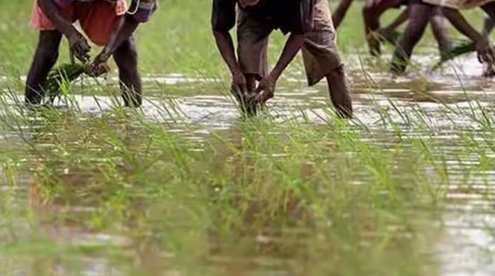 આ યોજના હેઠળ ભારત સરકાર દેશના 13 કરોડથી વધુ ખેડૂતોને વાર્ષિક 6૦૦૦ રૂપિયા સુધીનો લાભ આપે છે. હવે સરકારે દેશના ખેડૂતો માટે બીજી એક નવી યોજના શરૂ કરી છે. દેશના કૃષિ મંત્રી શિવરાજ સિંહ ચૌહાણે ગયા વર્ષે આ યોજના શરૂ કરી હતી.