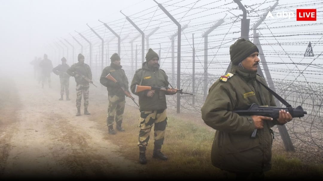 India Bangladesh border news disturbed by bullets and grenades, Bangladeshi smugglers attack with sharp weapons India-Bangladesh News: গুলি-গ্রেনেডে অশান্ত সীমান্ত, BSF-এর ওপর ধারালো অস্ত্র নিয়ে চড়াও বাংলাদেশের পাচারকারীরা