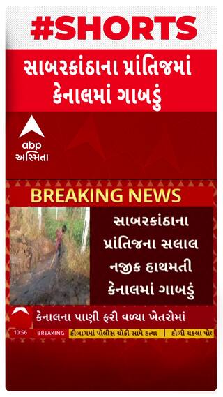 Sabarkantha Canal Breach : પ્રાંતિજની કેનાલમાં પડ્યું ગાબડું, ખેતરમાં ફરી વળ્યું પાણી