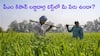 PM Kisan 19th Instalment: పీఎం కిసాన్ 19వ విడత డబ్బులు రాబోతున్నాయ్ - లిస్ట్లో మీ పేరు ఉందో, లేదో ఇలా చెక్ చేయండి!