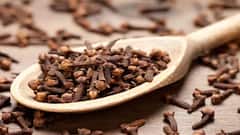 લવિંગના સેવનથી થશે આ ગજબના ફાયદાઓ,આજે જ ખાવાનું ચાલુ કરી દો