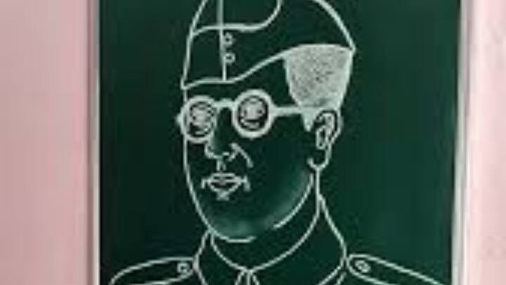 साल 1942 में सुभाष चंद्र बोस हिटलर के पास गए और भारत को आजाद करने का प्रस्ताव रखा. लेकिन हिटलर ने भारत की आजाद में कोई दिलचस्पी नहीं दिखाई और उसने सुभाष चंद्र बोस को कोई भी स्पष्ट वचन भी नहीं दिया.