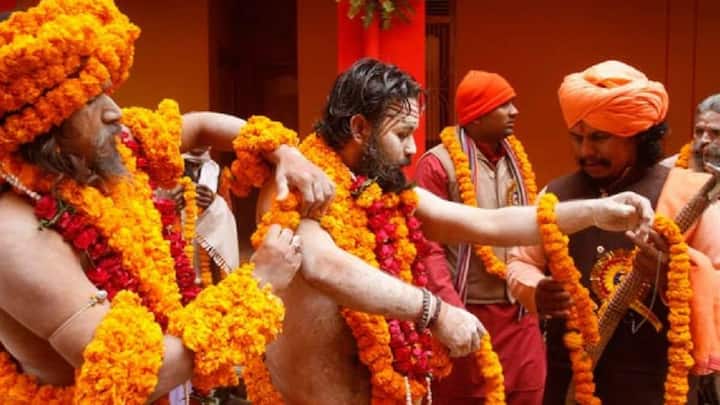 भारत में कुल 13 प्रमुख अखाड़े हैं. इनमें बात की जाए तो शैव अखाड़े, वैष्णव अखाड़े और निर्गुण या उदासीन अखाड़े आते हैं. शैव अखाड़े, जो साधु भगवान शिव को उपासक होते हैं. वैष्णव अखाड़े के साधु विष्णु भगवान के उपासक होते हैं. निर्गुण या उदासीन अखाड़े के साधु वह होते हैं जो किसी एक देवता की पूजा नहीं करते.