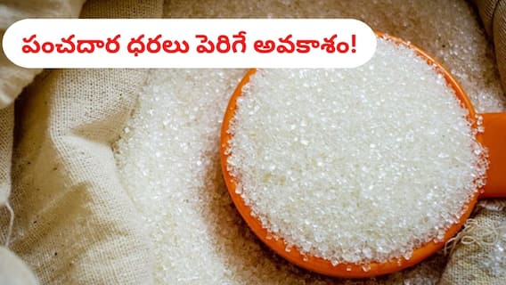 Sugar Price: సామాన్య జనానికి షాక్‌, చేదెక్కనున్న చక్కెర! - కేంద్ర ప్రభుత్వ కీలక నిర్ణయమే కారణం