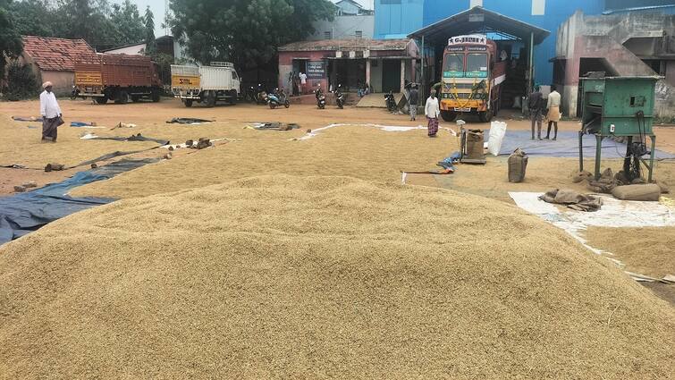 Thanjavur news Traders hesitant to buy Andhra rice Farmers worried tnn கை கொடுக்கும் என்று நினைத்தால் காலை வாரிவிட்டதே: வேதனையில் விவசாயிகள்