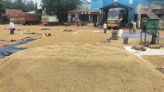 Thanjavur news Traders hesitant to buy Andhra rice Farmers worried tnn கை கொடுக்கும் என்று நினைத்தால் காலை வாரிவிட்டதே: வேதனையில் விவசாயிகள்
