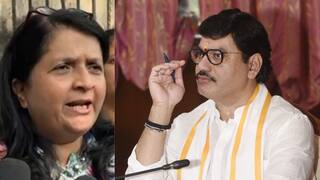 Anjali Damania: धनंजय मुंडेंचं मंत्रिपद सोडा, आमदारकीच धोक्यात; अंजली दमानियांनी निर्वाणीचं अस्त्रं बाहेर काढलं