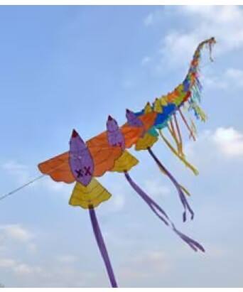 ਪਤੰਗ ਉਡਾਉਣ 'ਤੇ ਹੋਏਗੀ ਪੰਜ ਸਾਲ ਦੀ ਜੇਲ੍ਹ, ਭਰਨਾ ਪਏਗਾ 20 ਲੱਖ ਜੁਰਮਾਨਾ...