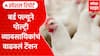 Bird flu Maharashtra | राज्यात बर्ड फ्ल्यूने पोल्ट्री व्यावसायिकांचं वाढवलं टेंशन Special Report