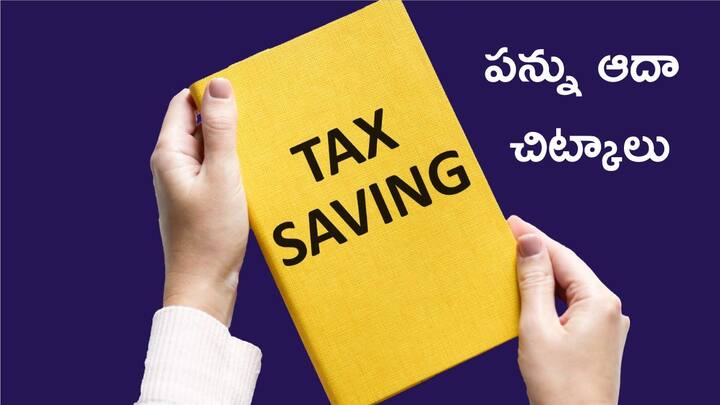 Best options to reduce tax liability or saving tax are ELSS and NPS Whats so great about them Tax Saving Schemes: పన్ను బాధ్యత తగ్గించే బెస్ట్‌ ఆప్షన్స్‌ ELSS, NPS - ఏమిటి వీటి గొప్ప?