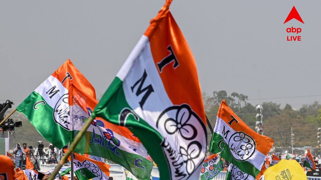 TMC Education Cell reshuffle Several teacher leaders complained TMC Education Cell: তৃণমূল শিক্ষা সেলে রদবদল, নতুন সমীকরণের ইঙ্গিত?