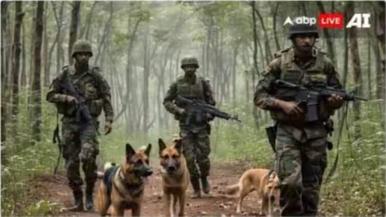Chhattisgarh Bastar Declared Naxal Free by PM Modi Government Many Naxalit Commanders Killed  40 साल बाद 'नक्सल मुक्त' हुआ छत्तीसगढ़ का बस्तर! सरकार का ऐलान, रंग लाई सुरक्षाबलों की मेहनत 