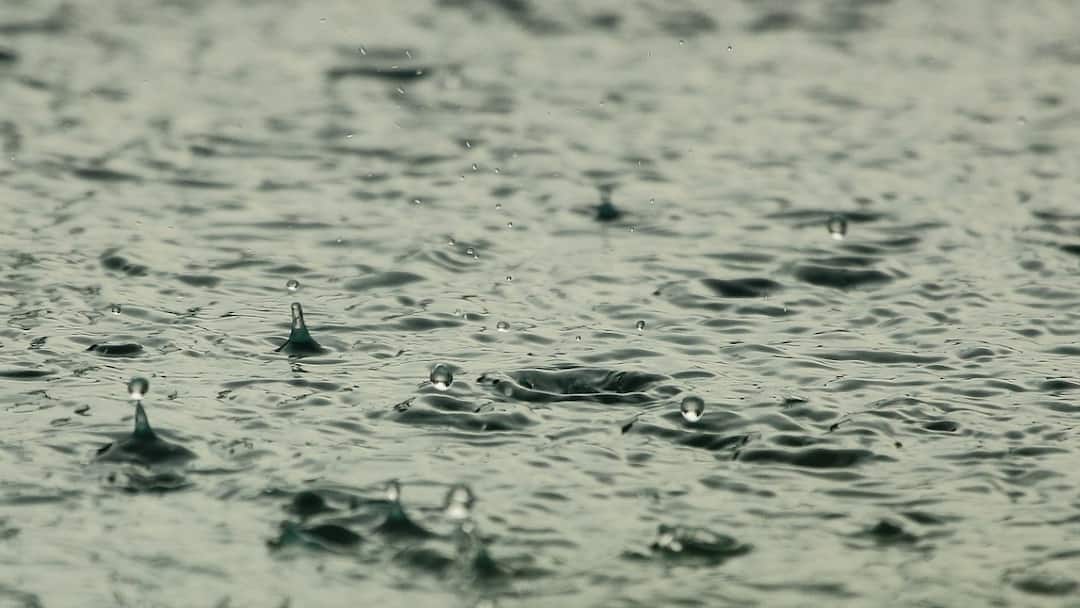 Tamil Nadu Records 127% Above-Normal January Rainfall Here Why Northeast Monsoon Is Extended Tamil Nadu Records 127% Above-Normal January Rainfall: Here's Why Northeast Monsoon Is Extended