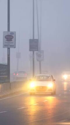 दिल्ली में छाया हल्का कोहरा | ABP SHORTS