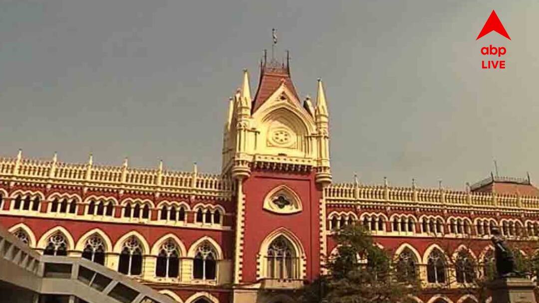 Saline Controversy Suspended doctor of Medinipur Medical approaches Calcutta High Court Saline Controversy: স্যালাইনকাণ্ডে সাসপেন্ড, হাইকোর্টের দ্বারস্থ মেদিনীপুর মেডিক্যালের চিকিৎসক