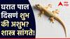 Vastu Shastra : घरात पाल दिसणं शुभ की अशुभ? शास्त्र सांगते...