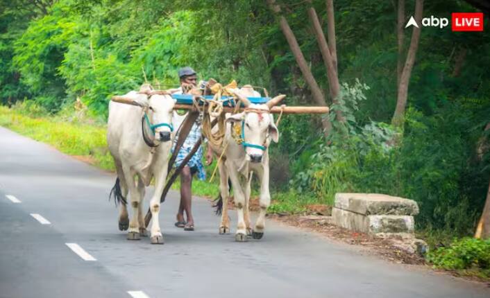 ਹੁਣ ਦੇਸ਼ ਭਰ ਦੇ ਕਰੋੜਾਂ ਕਿਸਾਨ ਪ੍ਰਧਾਨ ਮੰਤਰੀ ਕਿਸਾਨ ਯੋਜਨਾ ਦੀ ਅਗਲੀ ਕਿਸ਼ਤ ਦੀ ਬੇਸਬਰੀ ਨਾਲ ਉਡੀਕ ਕਰ ਰਹੇ ਹਨ, ਹਾਲਾਂਕਿ ਇਸ ਵਾਰ ਇਹ ਰਕਮ ਹਰ ਕਿਸਾਨ ਦੇ ਖਾਤੇ ਵਿੱਚ ਨਹੀਂ ਆਵੇਗੀ, ਕੁਝ ਕਿਸਾਨ ਅਜਿਹੇ ਹੋਣਗੇ ਜਿਨ੍ਹਾਂ ਨੂੰ ਸਰਕਾਰ ਨੂੰ ਪੈਸੇ ਵਾਪਸ ਕਰਨੇ ਪੈਣਗੇ।