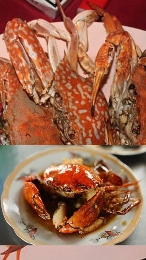 நல்ல நண்டு வாங்க டிப்ஸ் இதோ!