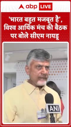 ‘India is Very Strong,’ Says CM Naidu at World Economic Forum Meeting | ABP News
