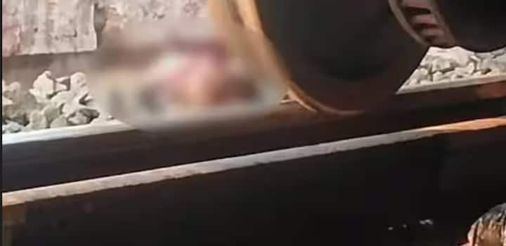 ਮਹਾਰਾਸ਼ਟਰ ਦੇ ਜਲਗਾਓਂ ਵਿੱਚ ਬੁੱਧਵਾਰ ਸ਼ਾਮ 4.45 ਵਜੇ ਹੋਏ ਰੇਲ ਹਾਦਸੇ ਵਿੱਚ 12 ਲੋਕਾਂ ਦੀ ਮੌਤ ਦੀ ਪੁਸ਼ਟੀ ਹੋਈ ਹੈ। ਇਸ ਦੇ ਨਾਲ ਹੀ 40 ਲੋਕ ਜ਼ਖਮੀ ਹੋਏ ਹਨ। ਇਸ ਦੁਖਦਾਈ ਹਾਦਸੇ ਦੀਆਂ ਜੋ ਤਸਵੀਰਾਂ ਹੁਣ ਸਾਹਮਣੇ ਆ ਰਹੀਆਂ ਹਨ, ਉਹ ਡਰਾਉਣੀਆਂ ਹਨ।