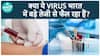 Could The H5N1 Virus Spark A Health Crisis In India? Wildlife Deaths Raise Serious Concerns. Could This Virus Spread To Us | Health Live